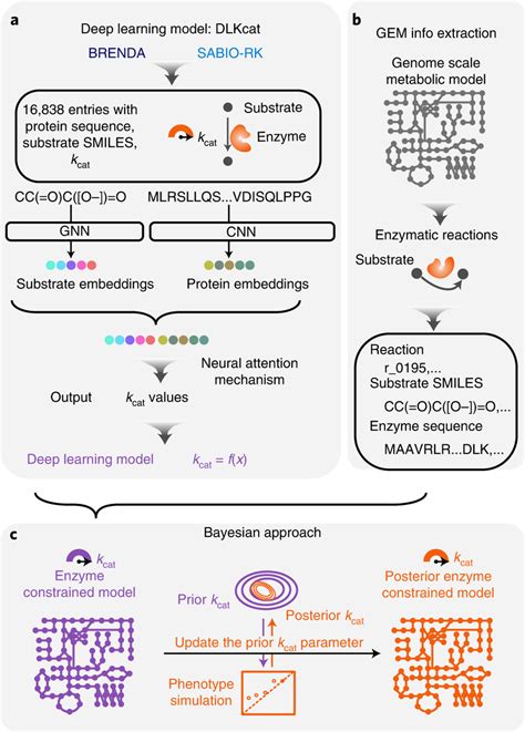 dlkcat|deep learning based kcat prediction.